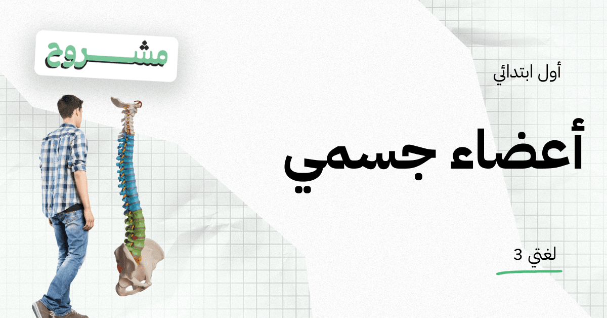 القورو السعودية - Algooru - شرح درس أعضاء جسمي