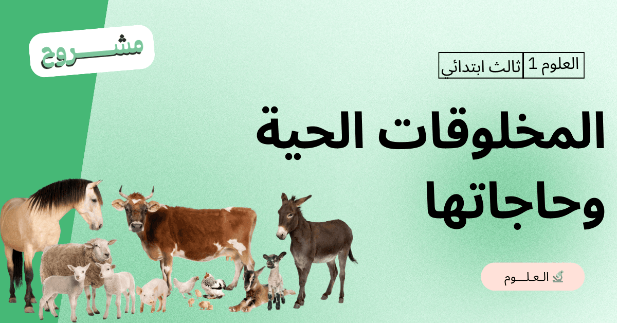 منصة القورو - Algooru - شرح درس المخلوقات الحية وحاجاتها