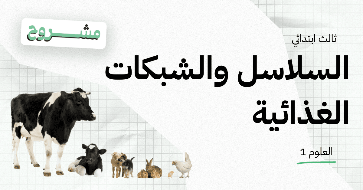 القورو - Algooru - شرح درس السلاسل والشبكات الغذائية